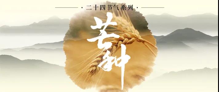 今日芒种|穹宇壮阔，烟火正浓